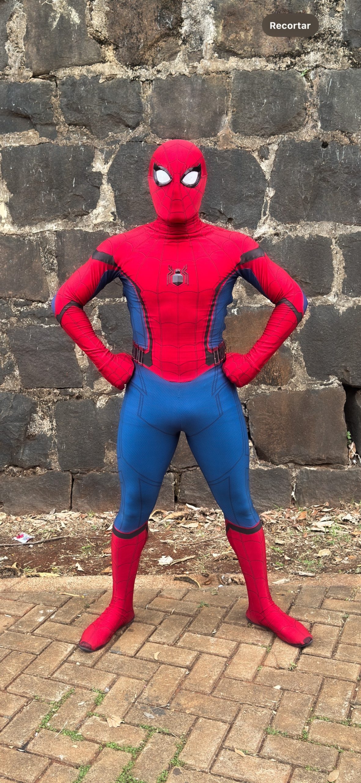 Homem Aranha - Imagem 3
