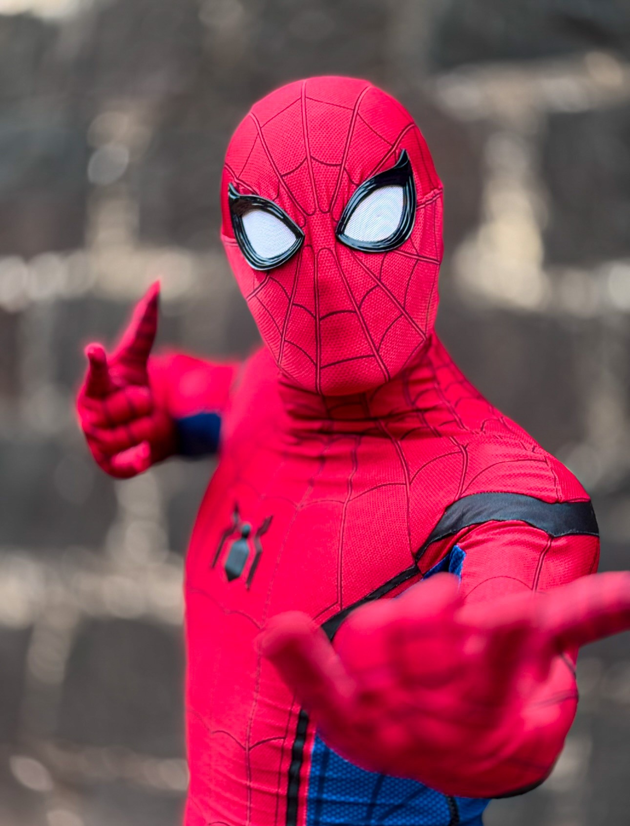 Homem Aranha - Imagem 4